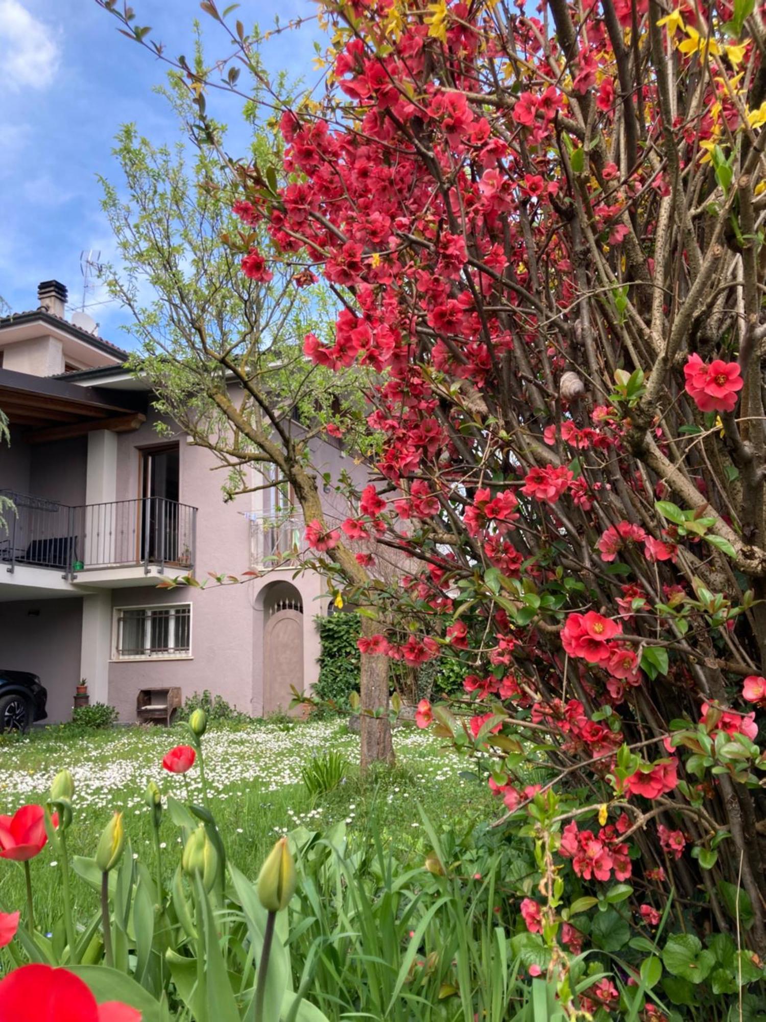 Al Clisi Graziosa Mansarda Appartement Villanuova sul clisi Buitenkant foto